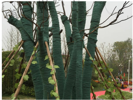 植物绷带厂家行情价格 怎样用裹树布