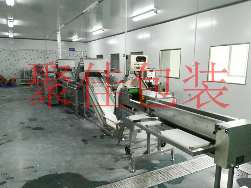 重庆食品加工厂蔬菜自动洗菜机