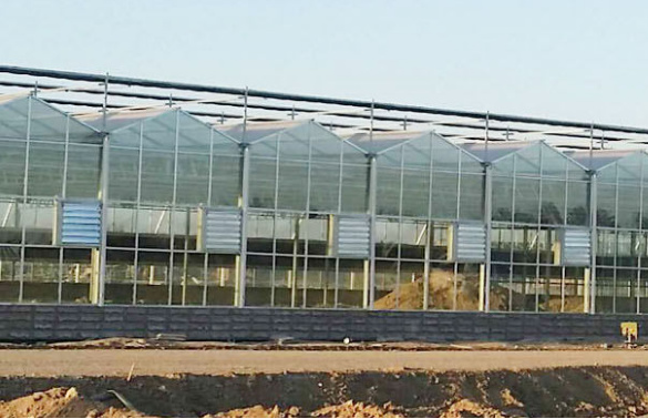 想建温室安徽现代农业大棚材料就到常州品塑新材料|大棚阳光板
