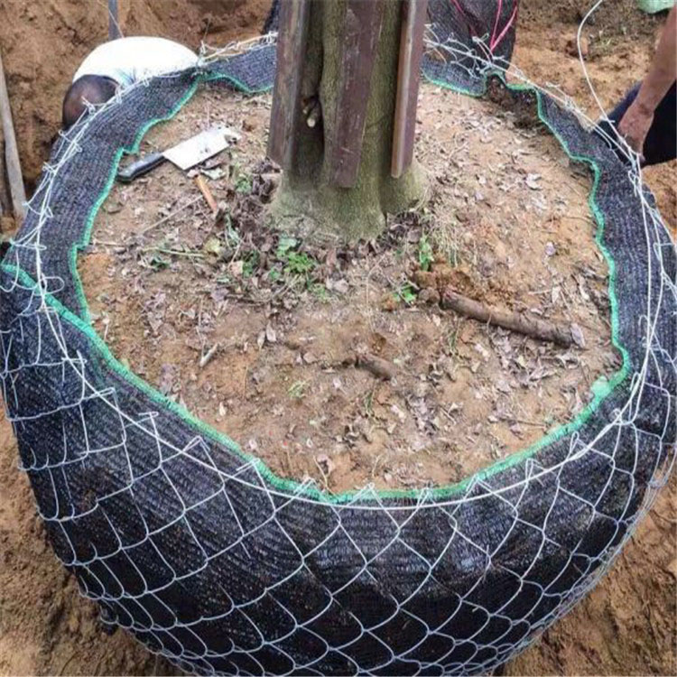 包树根简易网兜，厂家定制树根铁丝网各种规格，包土球移植铁网