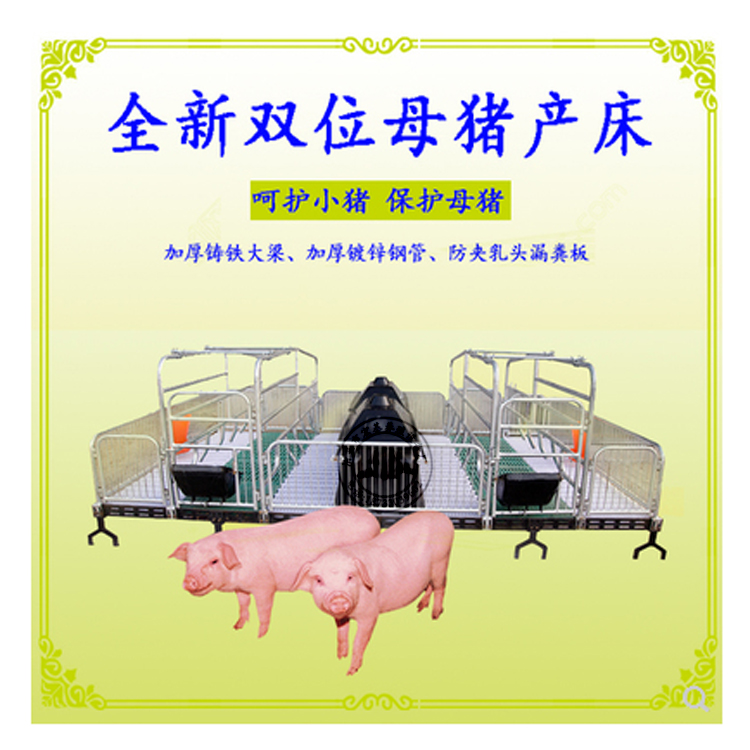 母猪双体产床包括什么 母猪产床结构 母猪产床厂家价格