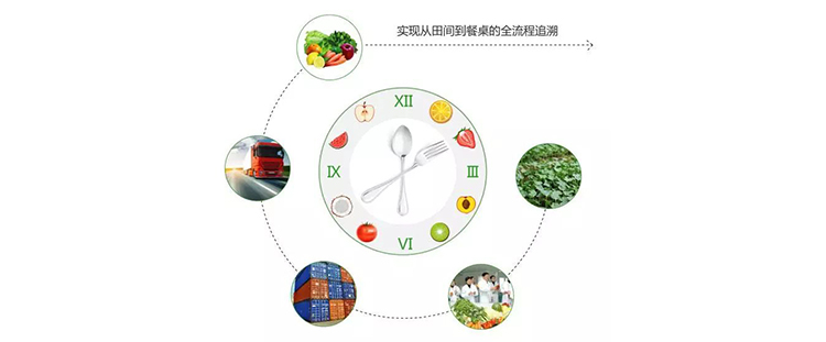 农产品溯源，武汉真正码农产品二维码溯源系统