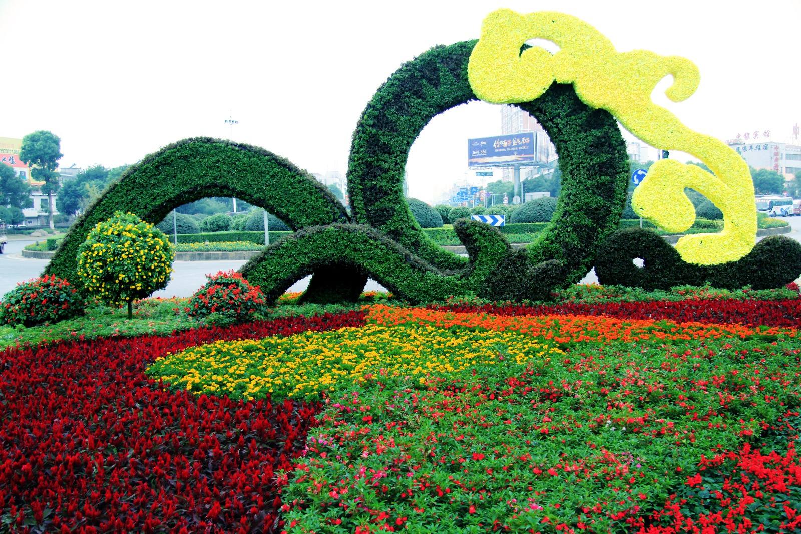 供应国庆花坛常用花卉、节日常用花卉