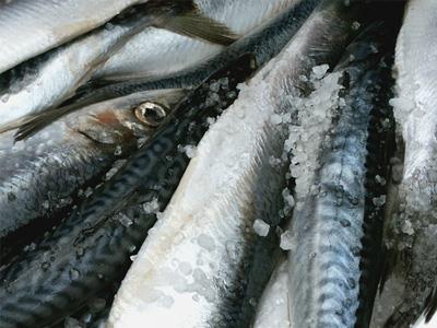 北京海洋资产评估报告公司 北京渔业水产养殖损失鉴定费用