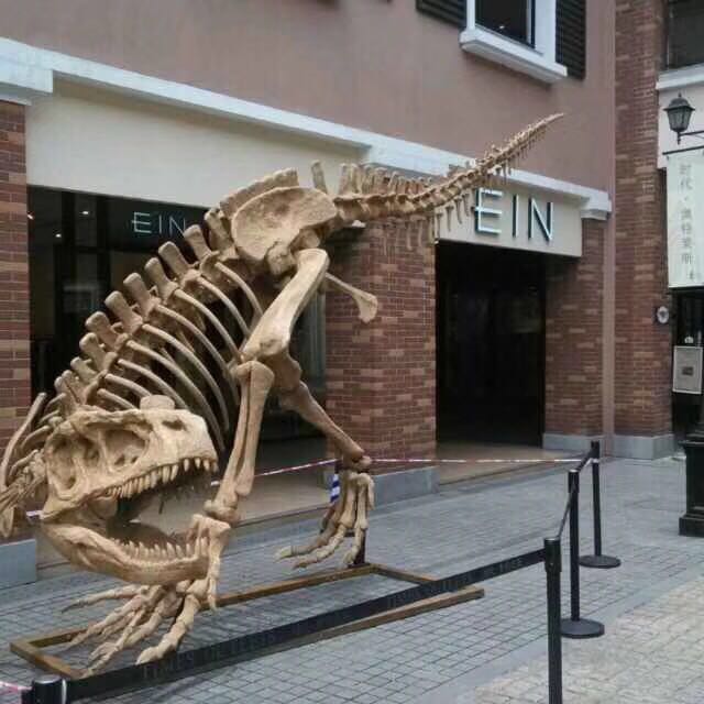 自贡仿真恐龙厂家直销1-30米恐龙化石骨架