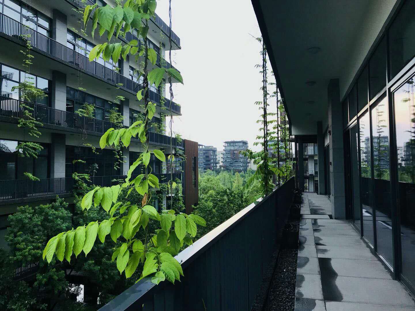 微信图片_20181017113521