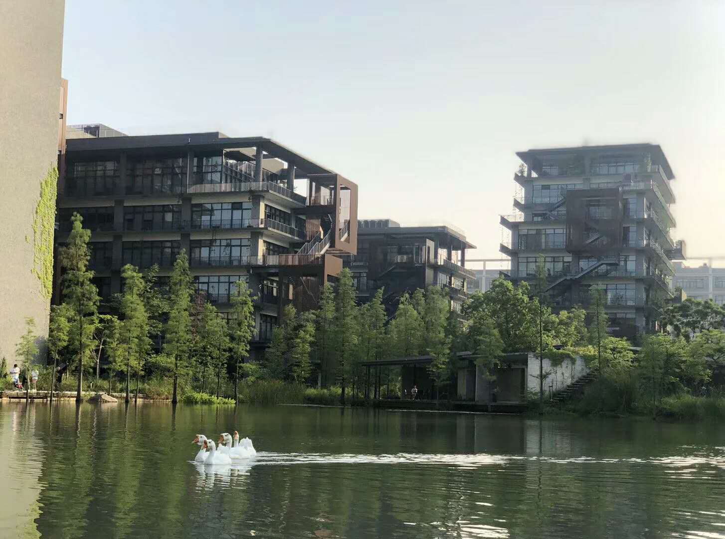 微信图片_201810171135217