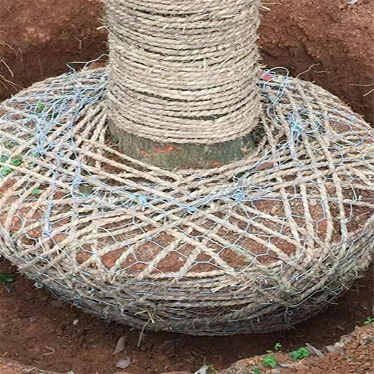 自产自销树根移植铁丝网，树根网，包土球铁丝网