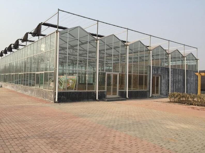 青岛生态休闲玻璃温室大棚工程支持来图OEM代加工定制厂家
