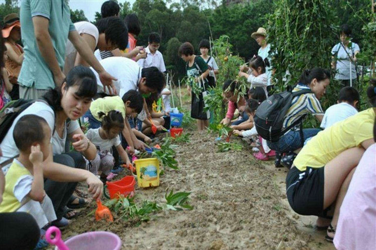 深圳周边学校班级亲子游秋游户外体验一大鹏农趣园一天游