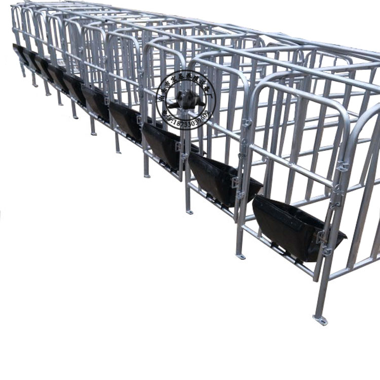 厂家大量促销热镀锌猪用围栏母猪保胎栏规格定做单体限位栏