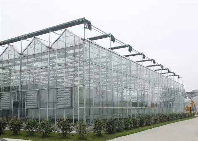建设玻璃温室大棚17米跨度智能实体公司厂家造价基地项目