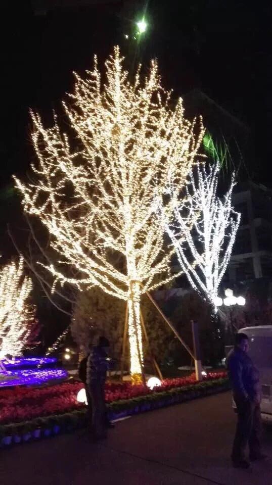 街道景观亮化树木亮化串灯缠绕树