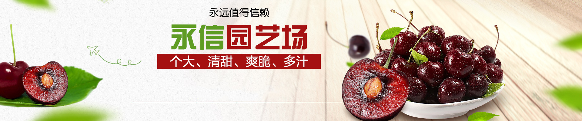 新津20甜柿子树苗基地批发价格