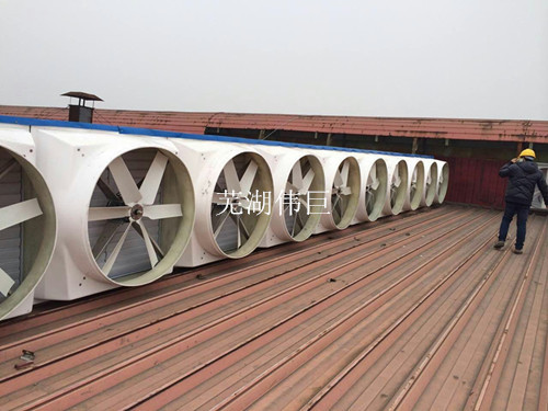 供应滁州车间降温设备，厂房通风散热系统