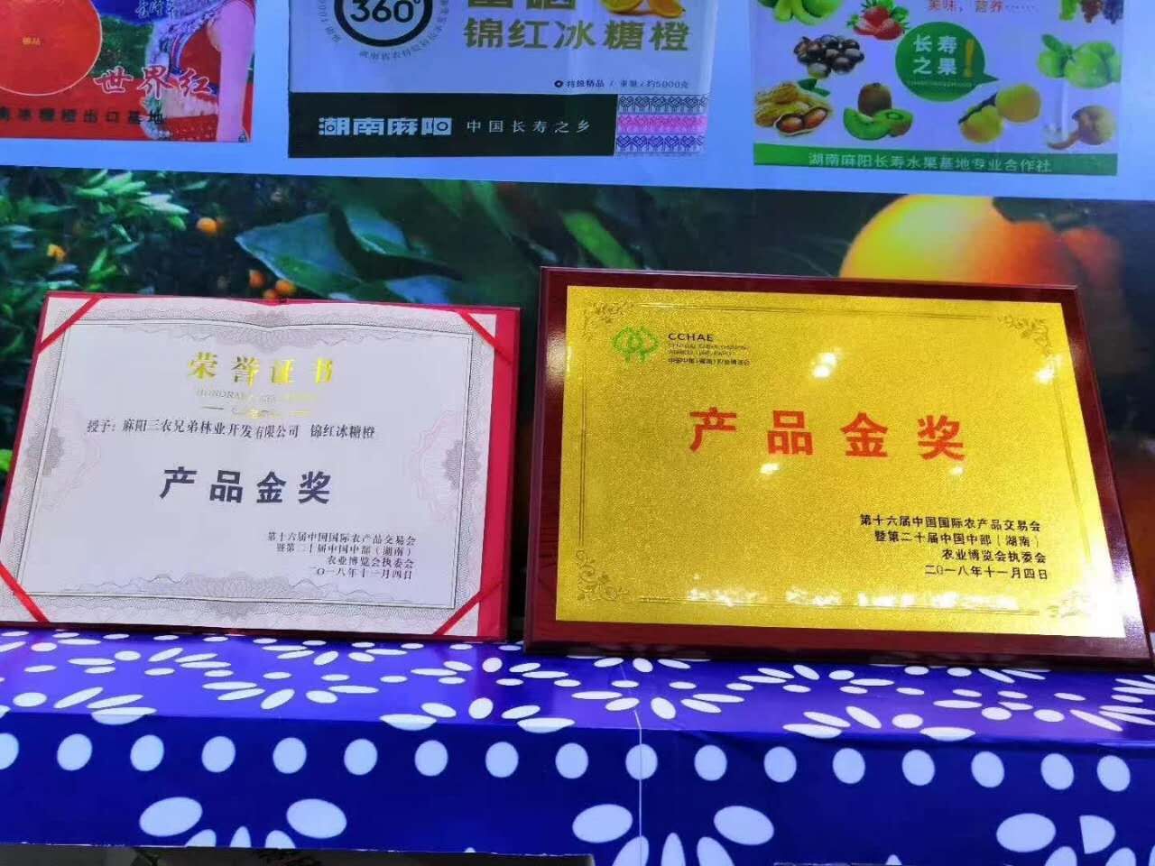锦红冰糖橙荣获农业博览会金奖