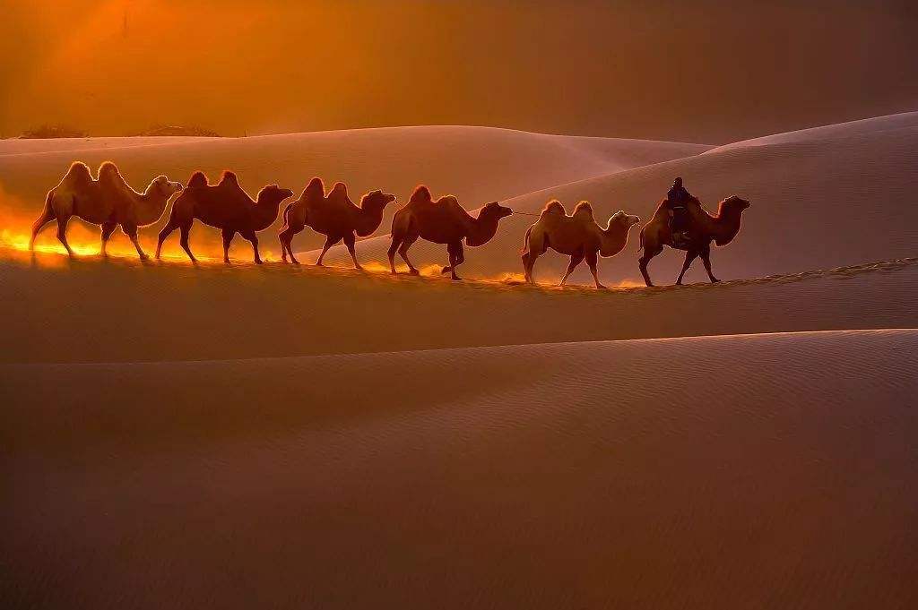 敦煌沙漠徒步旅行