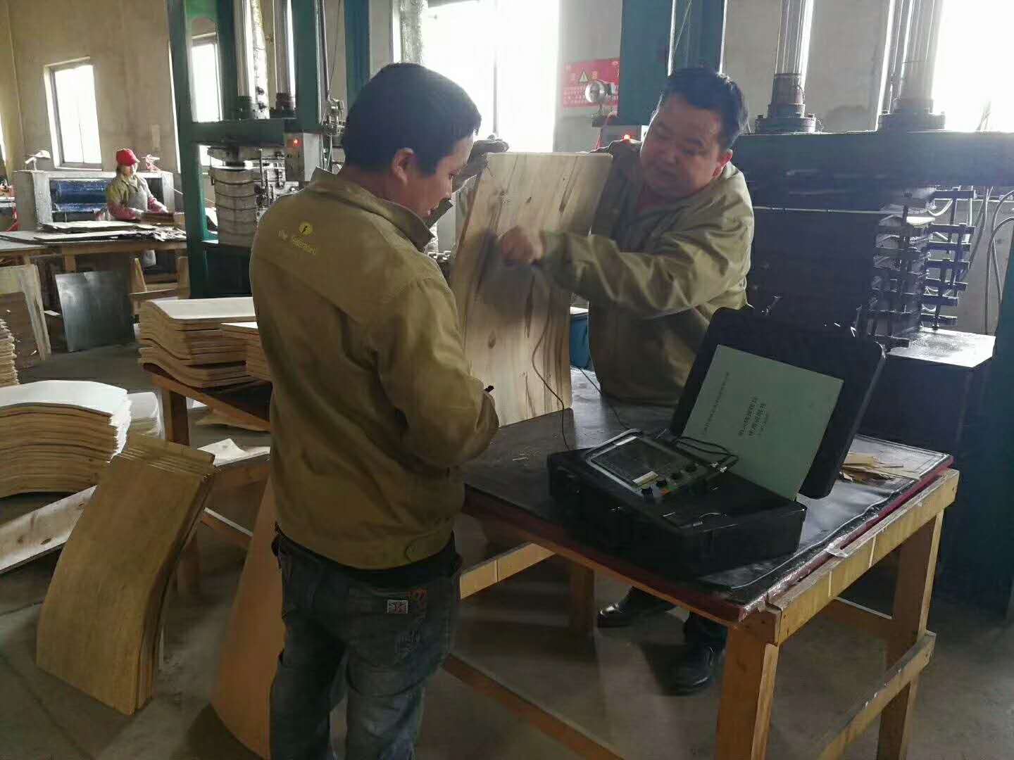 上海铂蒂供应木材探伤仪