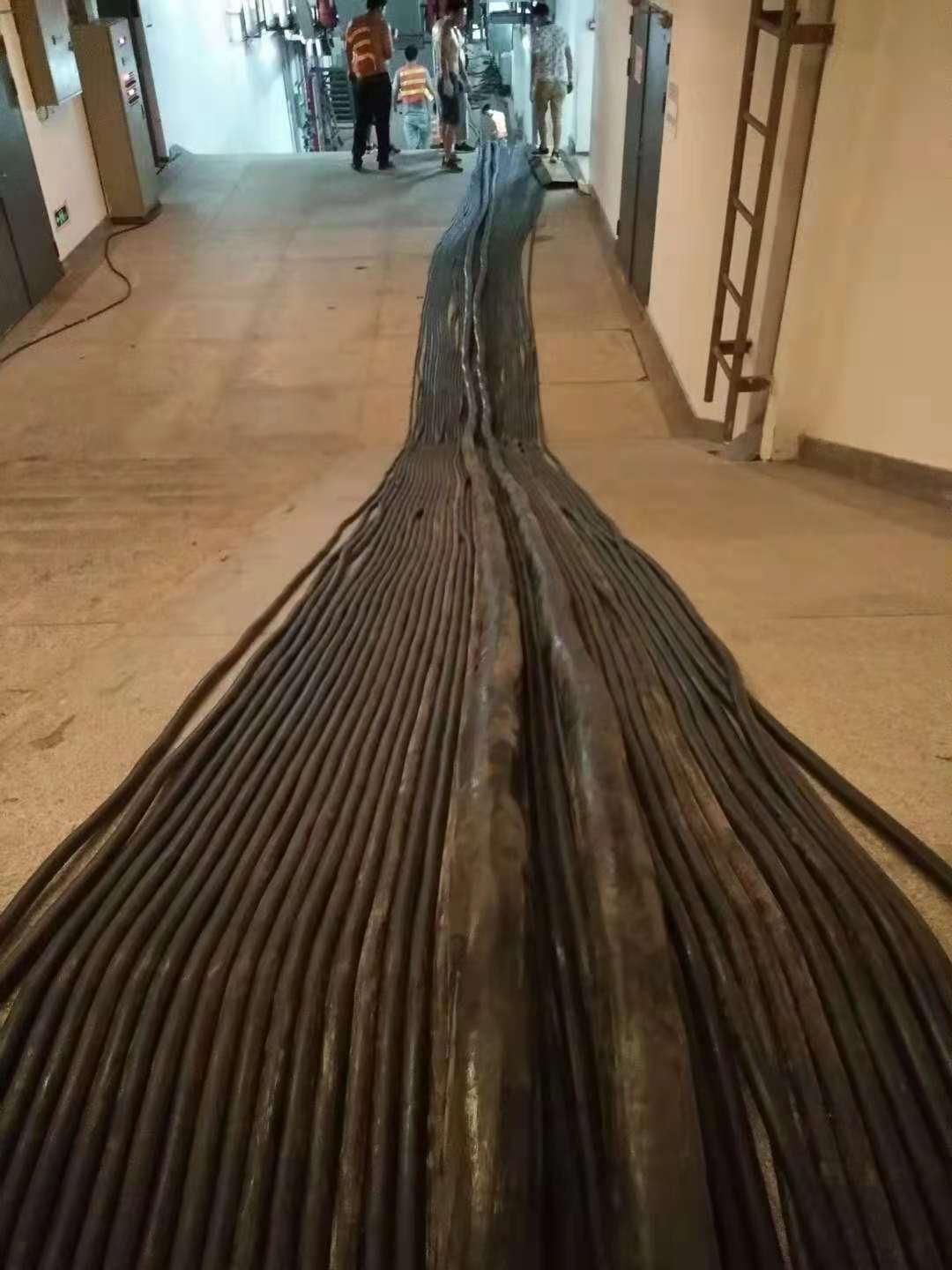 自贡专业电缆线出租