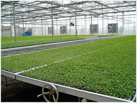 辛集市WL-02物流苗床在未来农业的发展前景