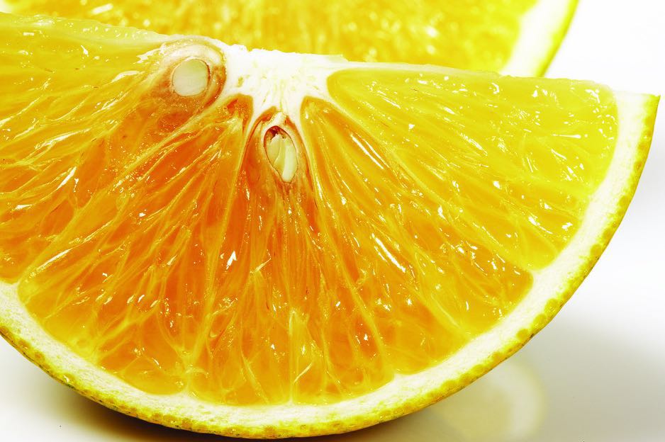 苍南橙子种植销售