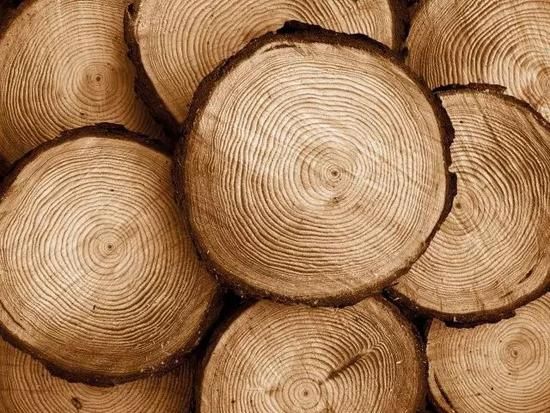 上海木材进口税率