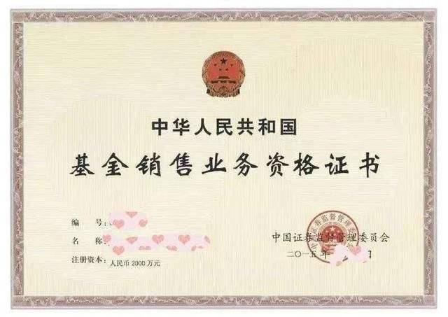 保险经纪5000万带网销价格