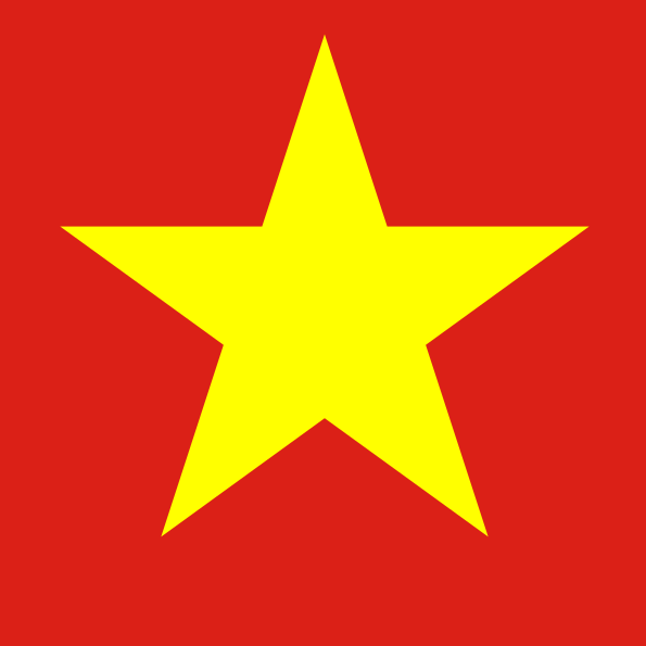 越南电商小包COD