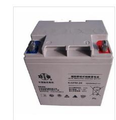 北京大容量双登蓄电池出租