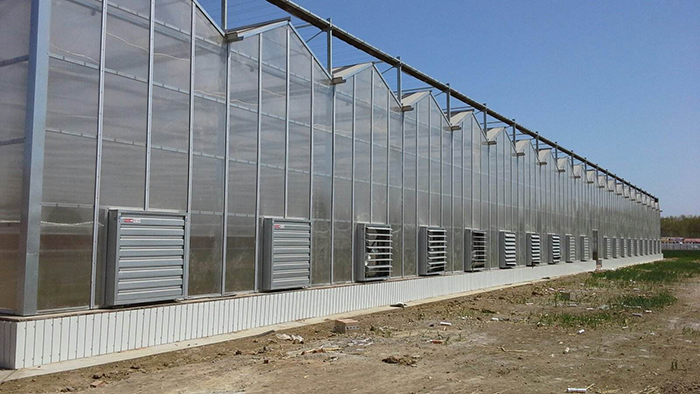 鹰潭现代农业科技展示馆玻璃温室大棚工程可建50公分防水墙