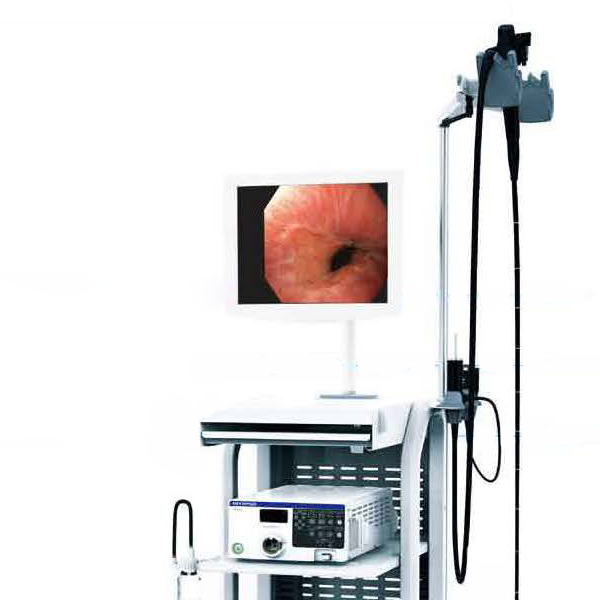 奥林巴斯170系列纤维鼻咽喉镜CV-170+ENF-T3