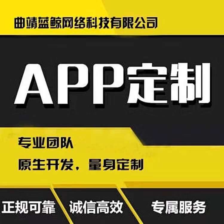 云南省曲靖市APP原生开发