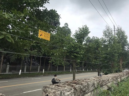 北京电子围栏厂家 电子围栏报价振动光纤产品