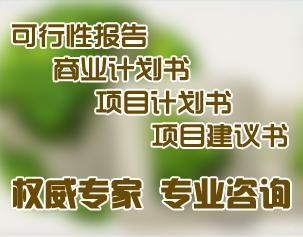 天津东丽区可行性研究报告编写公司-天津咨询公司