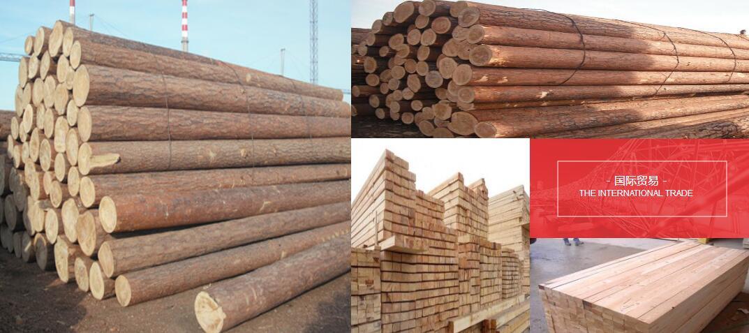 满洲里长期供应木材经销商