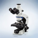 奥林巴斯OLYMPUS生物显微镜CX33