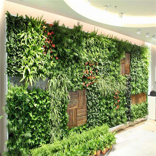 植物墙绿植景观设计施工