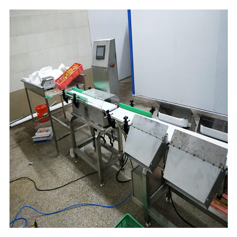 山东广昌海鲜自动分选机 重量分级机 鲅鱼分拣设备