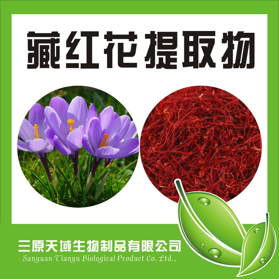 藏红花提取物 10:1 *植物提取物 厂家供应
