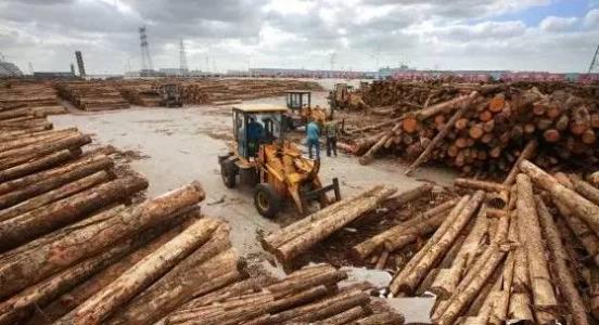 从青岛港进口木材到中国是怎么报关清关的又是如何分类的
