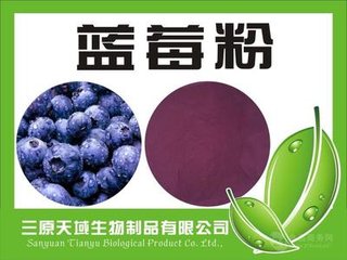 蓝莓粉 现货供应 蓝莓果蔬粉 批发直销 1公斤起订