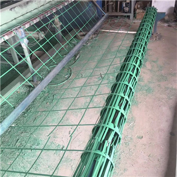 贵州油麻藤种植植物生产攀爬绿化钢塑土工格栅