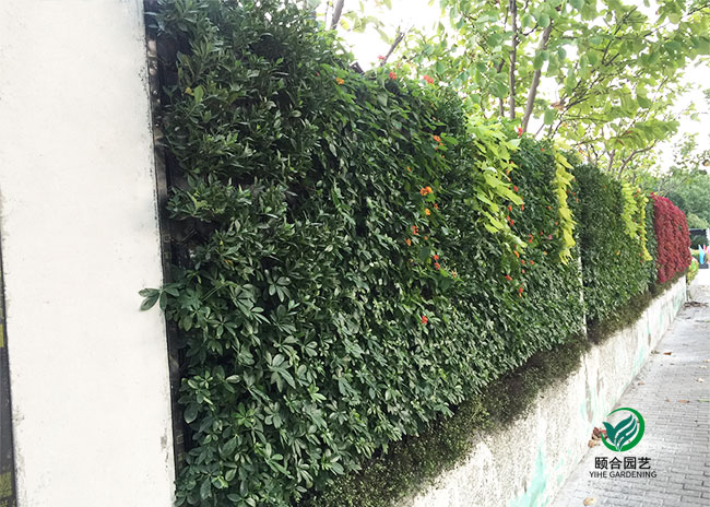 宁波植物墙 仿真绿植墙施工安装服务