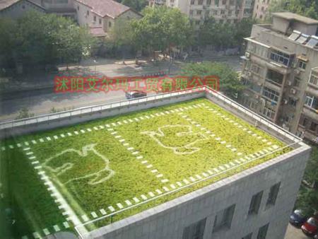 汉中专业订制屋顶绿化