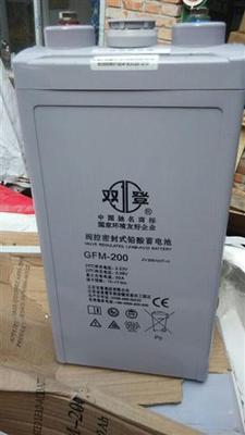 双登蓄电池GFM-200免维护铅酸蓄电池2v200ah现货直销
