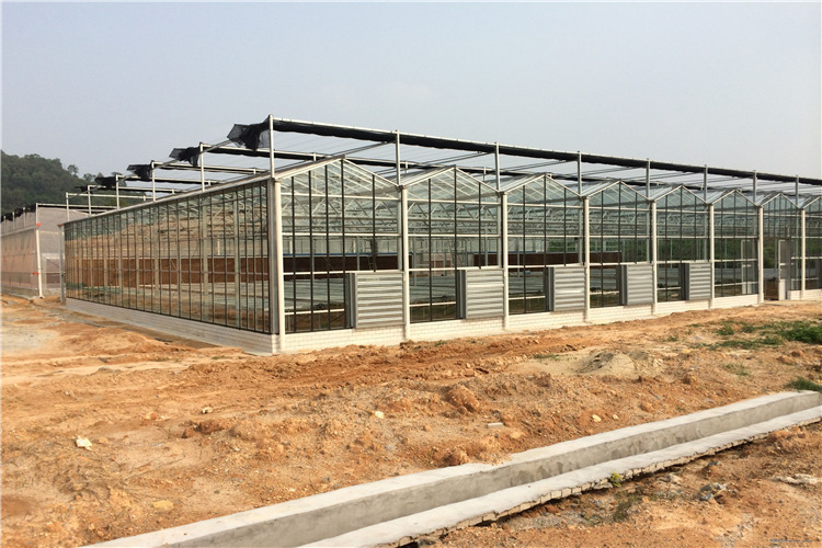 装配式安装的文洛型玻璃温室大棚项目工程建设厂家在山东青州