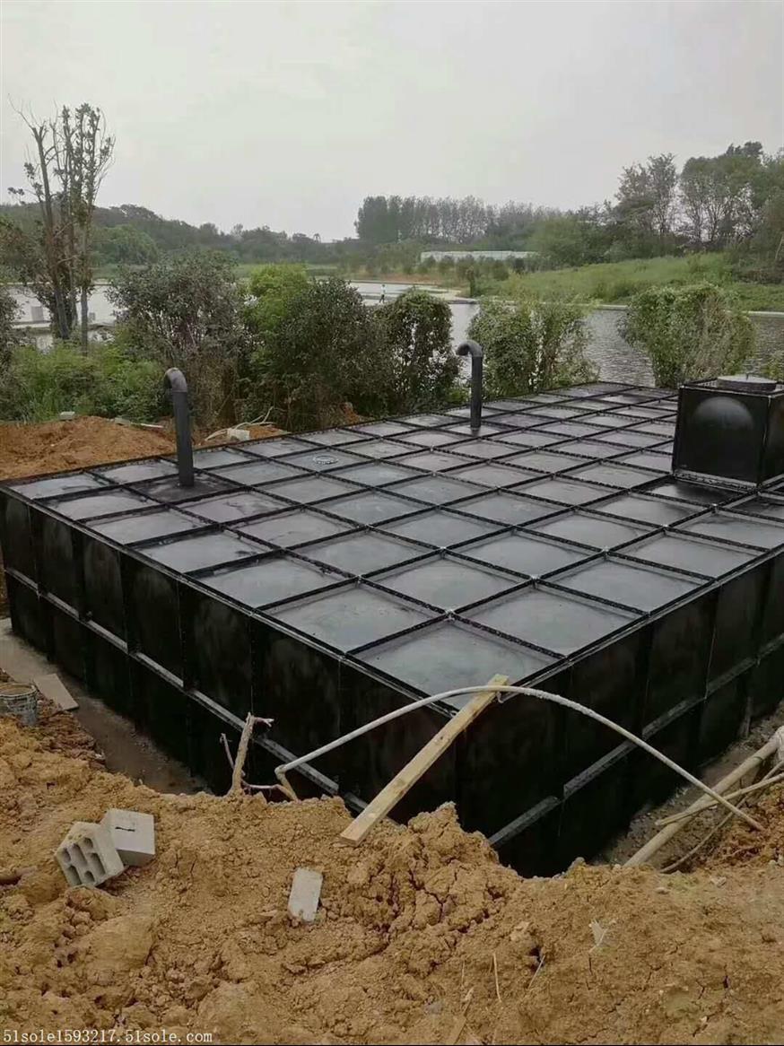 芜湖BDF大模压块箱泵泵一体化制造厂