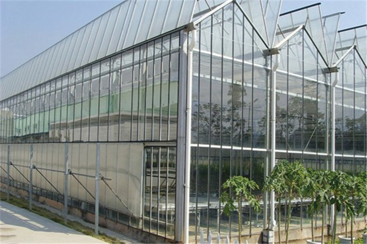 辽宁朝阳区连栋玻璃智能温室大棚项目免费提供技术指导建设厂家