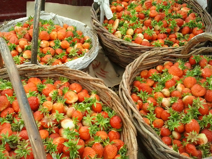 冷库大量供应树莓冻果，圆枣子冻果，黑加仑，醋栗冻果