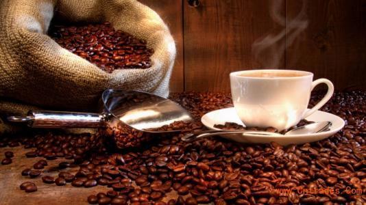 天津进口咖啡为您解决清关问题 欢迎咨询
